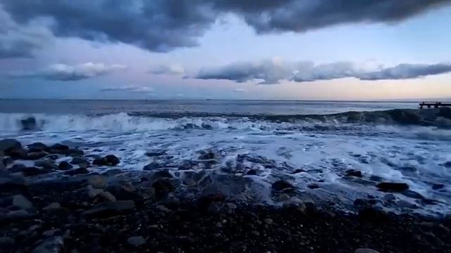 Шум чёрного моря