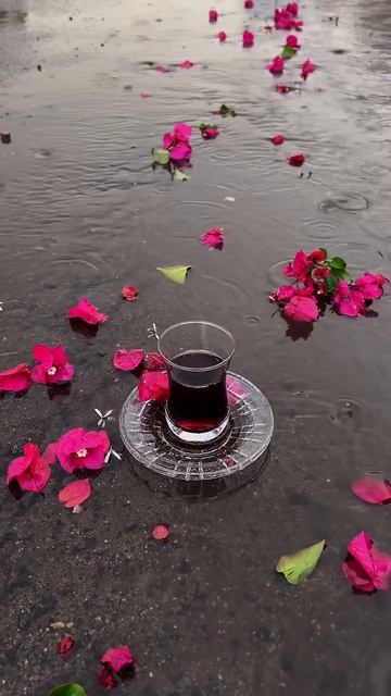 «Чай согревает душу и охлаждает разум.»