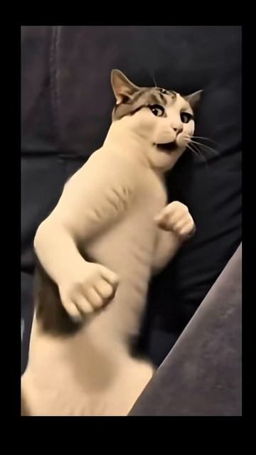 Каждый мужчина после тренировки смех  юмор тренд тренды