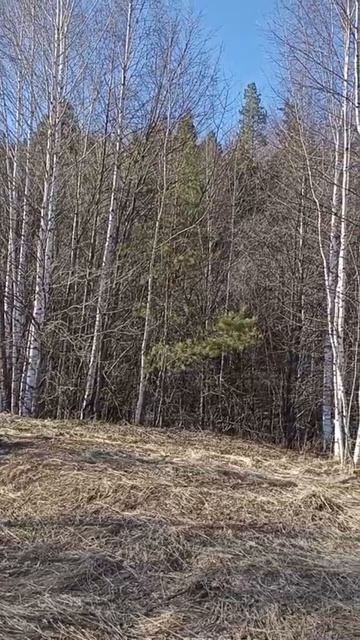 Половодье. Вятка разлилась и затопило луга.