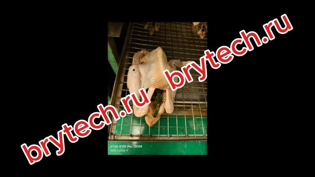 Универсальная термокамера BryTech SX