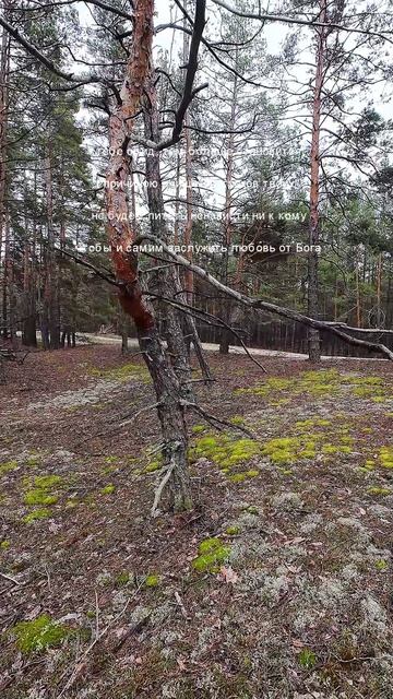 Оскорбляющий тебя - причина очищения грехов твоих