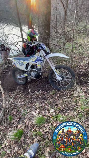 Шиловский лес