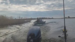 VLOG подышали, развеялись. У салата есть Вторая жизнь !