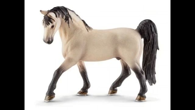 имена моих лошадей для вызов принят!?😊