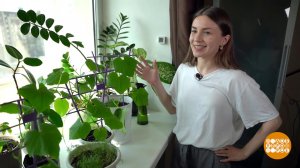 Грядки - в тренде! Доброе утро. Фрагмент выпуска от 24.04.2026