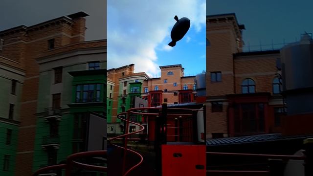 гуляю с тюленчиком