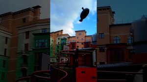 гуляю с тюленчиком