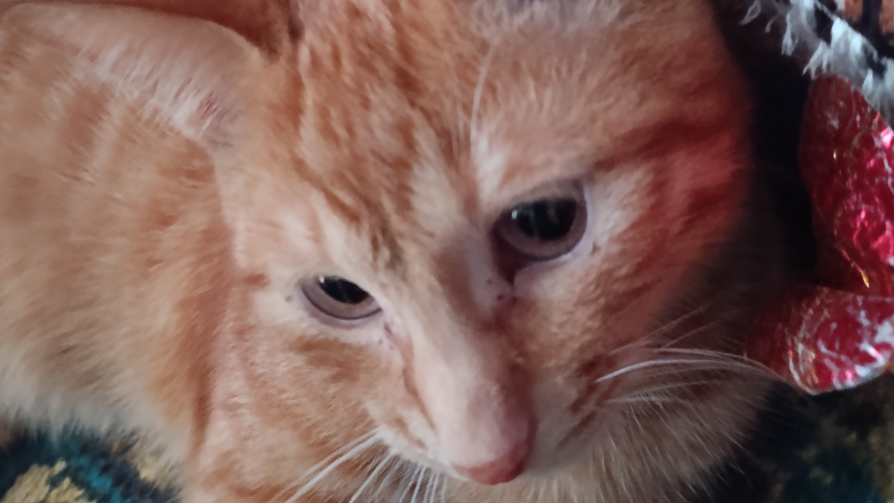 где подписка