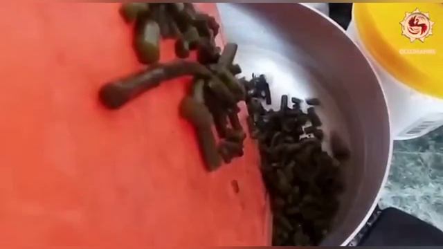 Шишковидная  железа