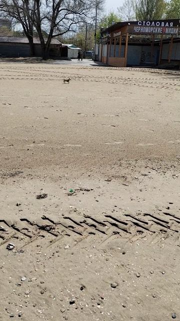 Выходите на улицу гулять, когда ничего не хочется делать и сил даже жить нет.mp4