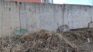 4.  Прогулка. продолжение. Биробиджан. 24.04.2026г