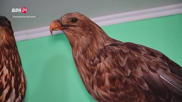 Дом в «плавучей станице»