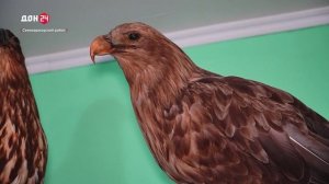 Дом в «плавучей станице»