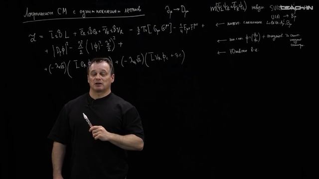 Лекция 2.13 Стандартная модель | Стандартная модель | Наумов Д.В.