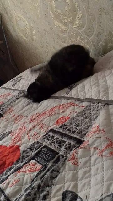 Доброго времени суток 😊