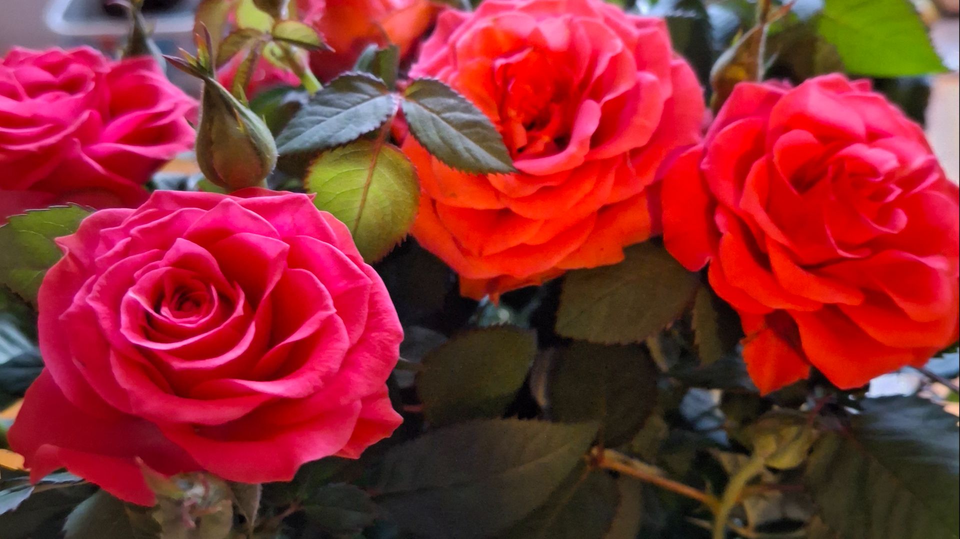 Отмечаю День рождения