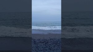 Прогулка по Набережной. Крым 2024 год