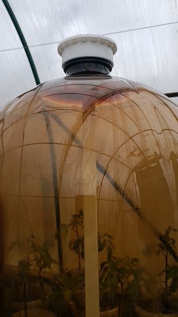 Испускаяю газ и пою корешки пив асиком