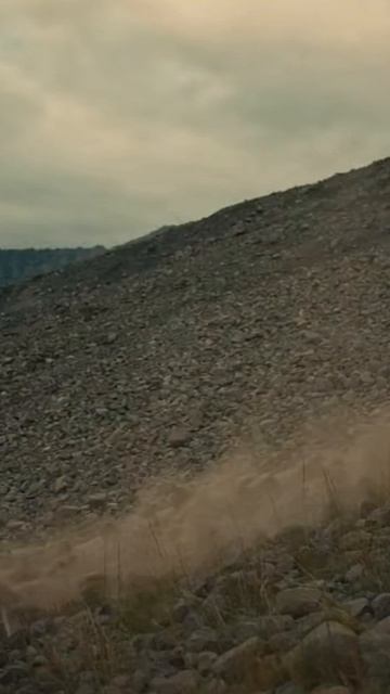 ИСТОРИЯ ЮЖНОАМЕРИКАНСКИХ ПЛЕМЕН!