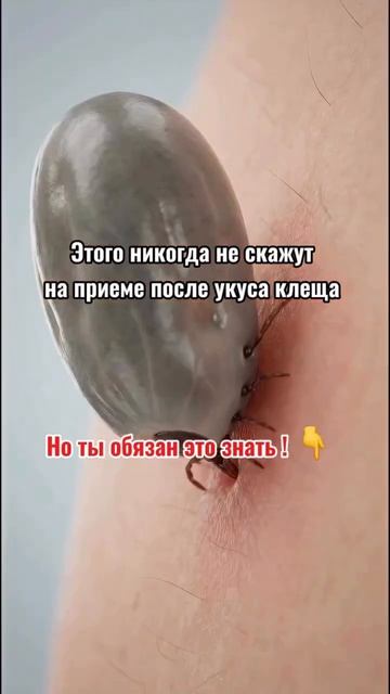 Об этом молчат врачи германскаяноваямедицина гнм психосоматика