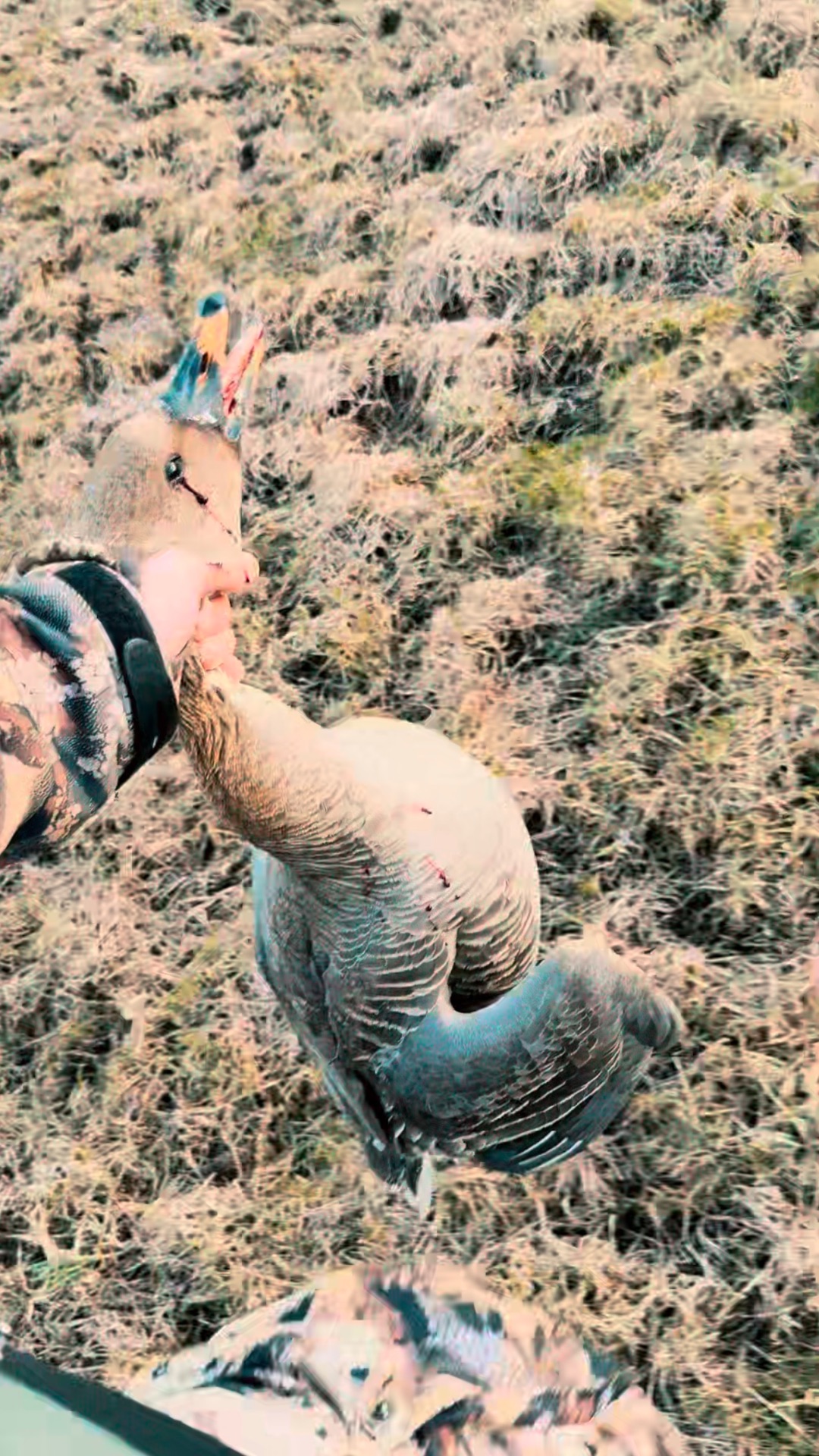 Copy_1B4F9138-8F35-477A-9BE7-45E1B6EF539B