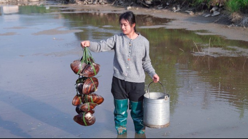 Осушила пруд, собираю много ракушек и рыбы.