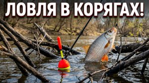 РЫБАЛКА В АПРЕЛЕ НА ПОПЛАВОК.РЫБАЛКА В КОРЯГАХ.ЛОВЛЯ ПЛОТВЫ.