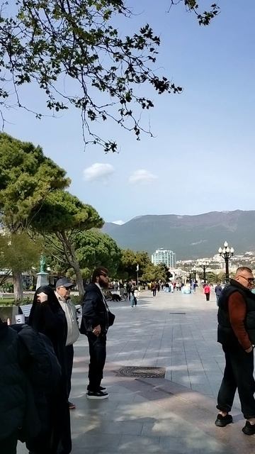 г. Ялта. ул. А. С. Пушкина. Начинают цвести Каштаны. апрель 2026 год.