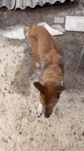 Досмотрите до конца🙏Существует ли лекарство от старости? История Таси #скелетик_с_ангарского