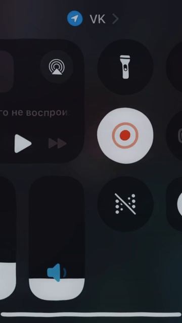 Lx24 - Жёлтые розы (шоу 