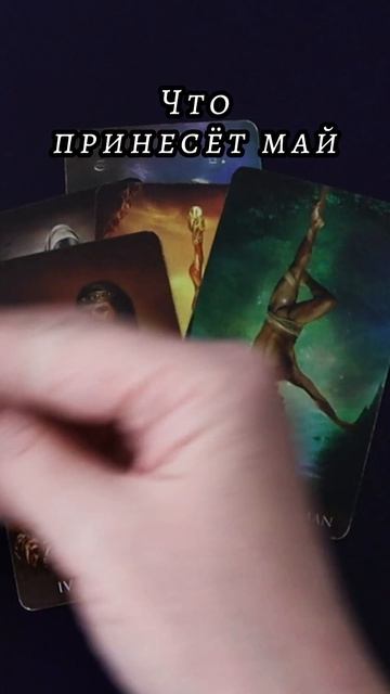 Что принесет май? Таро