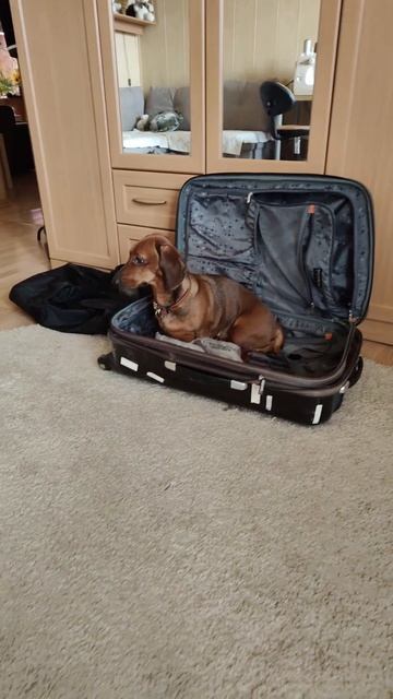 Забыть не получится