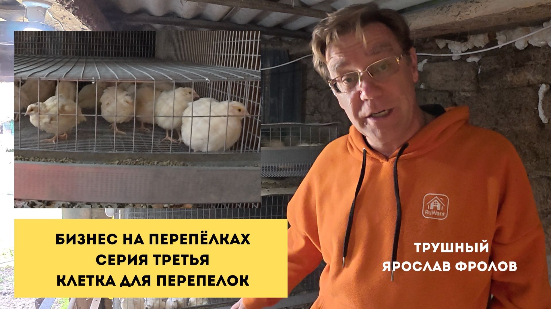 Клетка для перелов техасцев - Трушный бизнес на перепелках с Ярославом Фроловым