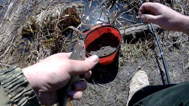 ДОНКА в АПРЕЛЕ...