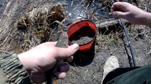 ДОНКА в АПРЕЛЕ...