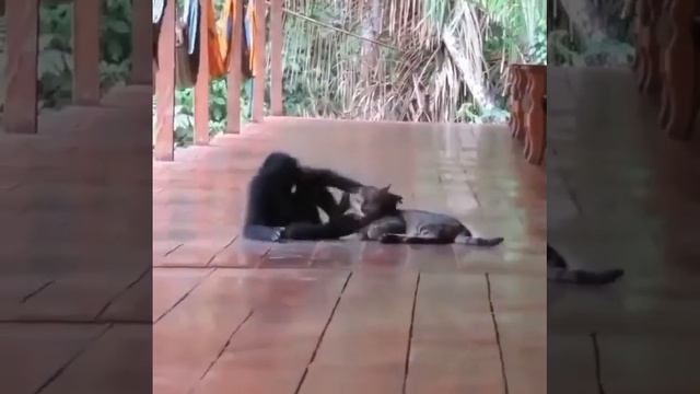 video_2026-03-05_12-59-35