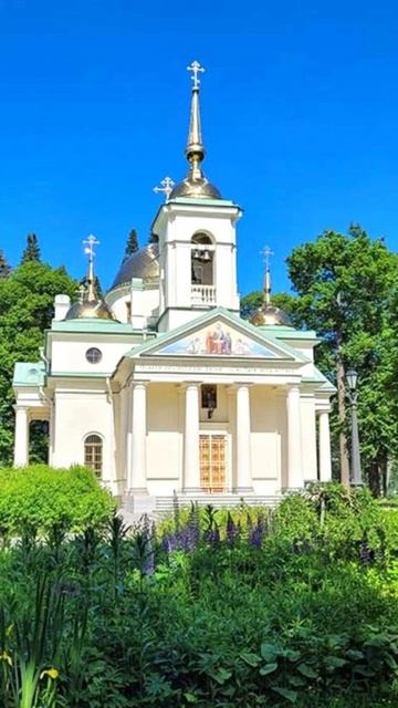 Душевный лекарьЦерковьshortvideoshortsМолитваПравославие