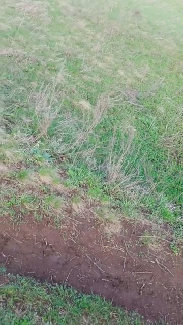 Поднялся на гору 😎

#весна #апрель #весна2026 #гора #веснедорогу #вкадре #классноеместо #классно #мо