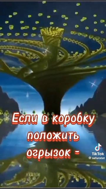 Мудрые слова