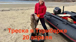Рыбалка на треску часть 2. Санкт-Петербург-Териберка
