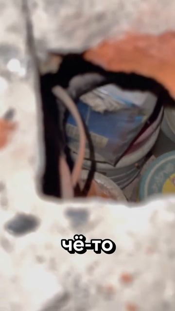 video_2026-03-03_10-12-06