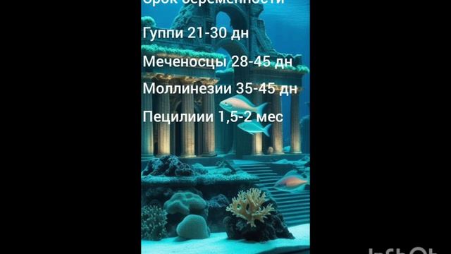 #тяжëлый период#