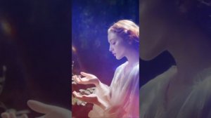 Птичья песня.