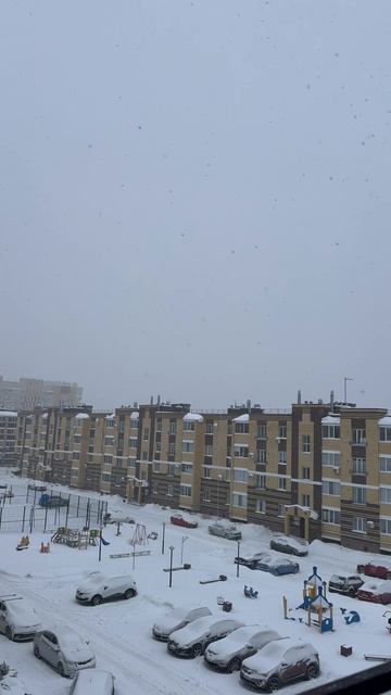 Метель, Самонов А. В.