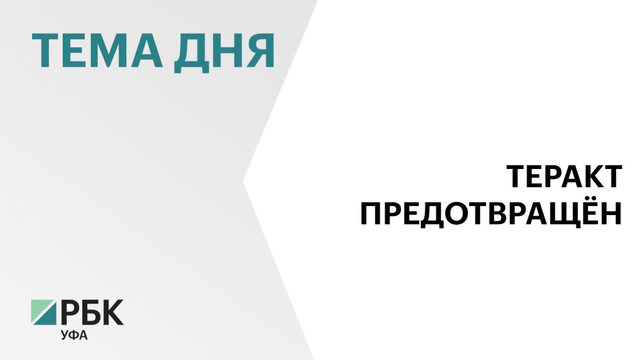 В ФСБ сообщили о предотвращении теракта против руководства Роскомнадзора