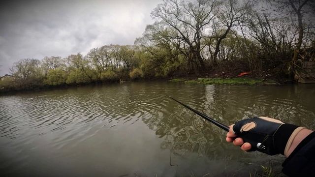 Ловлю плотву на лёгкую удочку.