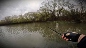 Ловлю плотву на лёгкую удочку.