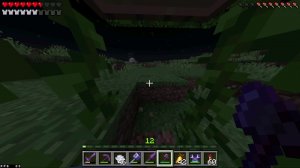 убиваем энд дракона