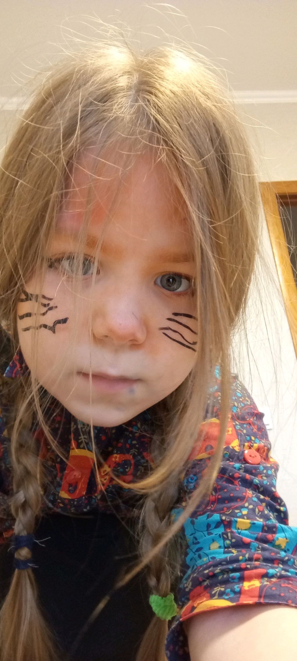 котики 🐈🐈